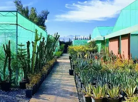 Photo de Haouz Garden