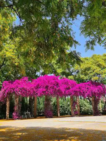 Photo de Parc de Pablo Iglesias