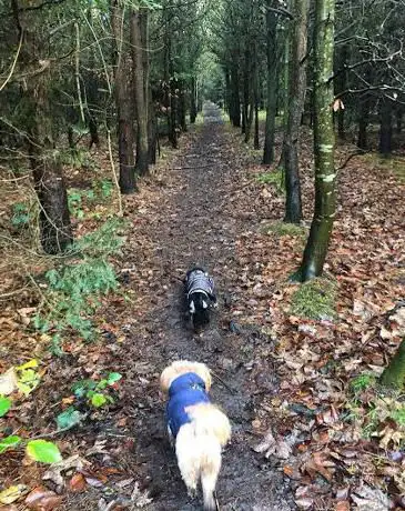 Photo de Choppington Communuty Woodland
