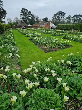 Photo de Kingston Lacy Japanese Garden