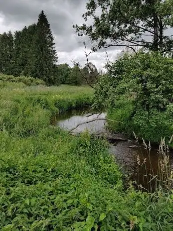 Foto de La réserve naturelle d’Orti - Le Parc naturel des deux Ourthes