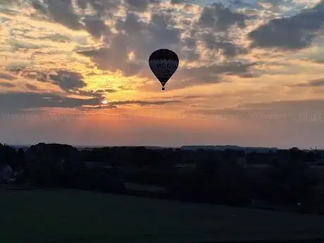 Photo de Pearl Balloon