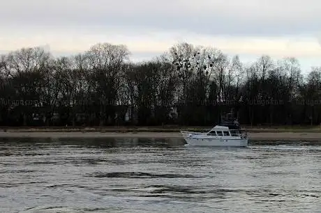 Photo de Rheinufer Lindenhof Mannheim