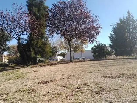 Photo de Cinco Bancos Park