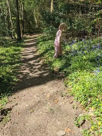 Photo de John F. Leslie Woodland Walks