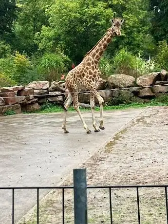 Foto de Neunkircher Zoologischer Garten GmbH