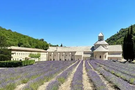 Photo de Abbaye Notre-Dame de Sénanque
