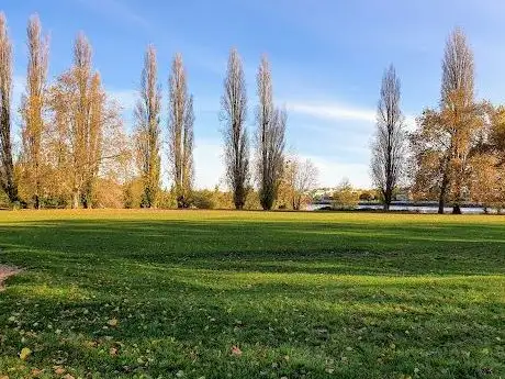 Photo of Skatepark de l'île aux dames