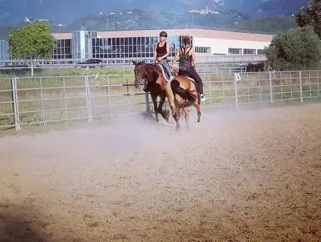 Photo de Ranch Il Gufo