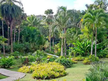 Photo de Jardin de Valombreuse