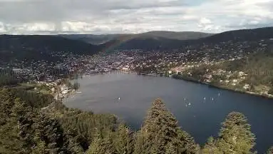 Photo de Tête de Mérelle