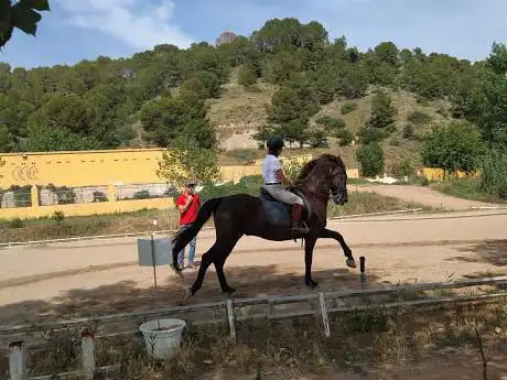 Photo de CENTRO HIPICO EL SALADRAR XATIVA PUPILAJE EQUINOTERAPIA