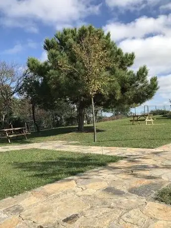 Photo de Child park