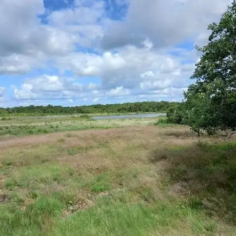 Photo de Søgård Mose bird sanctuary