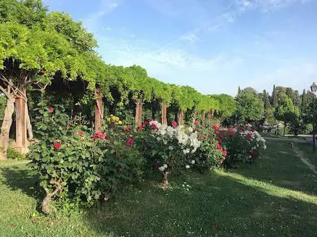Photo de Los Tilos Park