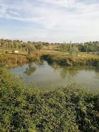 Photo de Olivar de Aljamar
