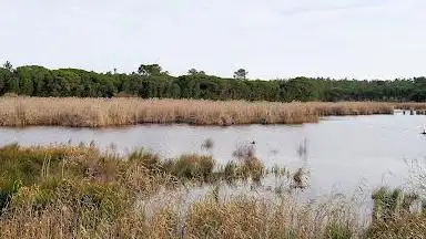Photo de Interpretive Area Little Lagoon