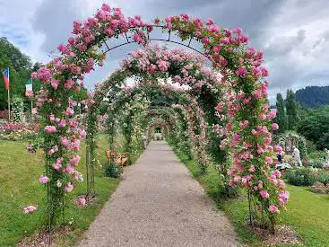 Photo de Rose Society Garden (New Rose Garden)