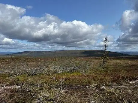 Photo de Högfjället Wanderweg