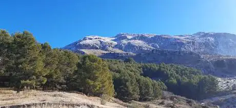 Photo de Pilar del moro