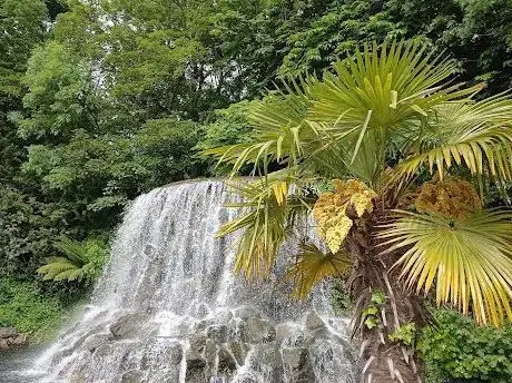 Photo of Waterfall Iveagh Gardens