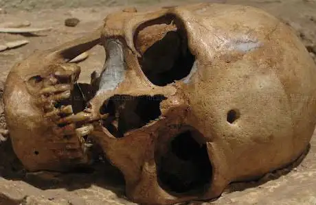 Photo de Museu Arqueològic i Paleontològic de MoiÃ