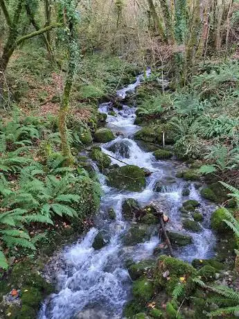 Photo de Cercado de los Lobos
