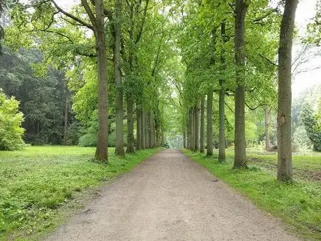 Foto de Arboretum de Tervuren