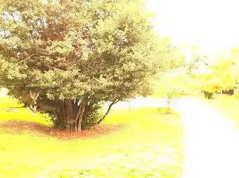 Photo de Parc de la Valbelle