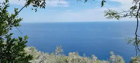 Photo de Martolga Bay