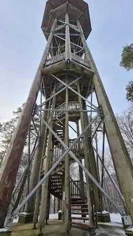 Photo of Aussichtsturm Hochwacht Wildensbuch