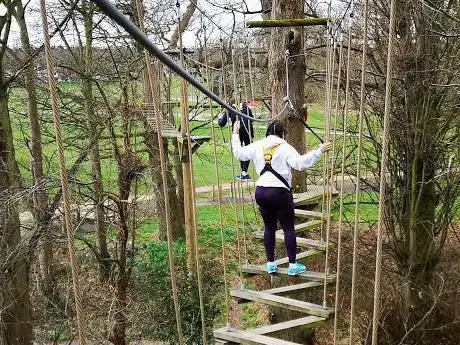Photo de Wild Wood Adventure