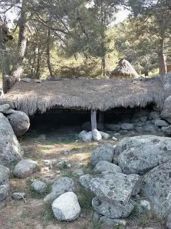 Photo de Ãrbol Nogal del Barranco