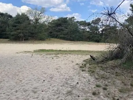 Photo de Oostappense Heide