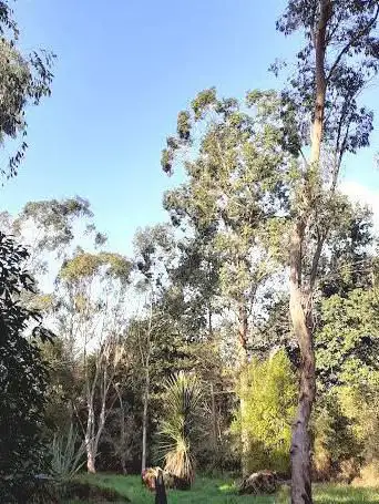 Photo de Poërop Arboretum