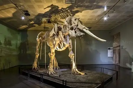 Photo de Kahramanmaraş Archaeology Museum