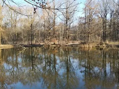 Photo de Mare aux Nénuphars