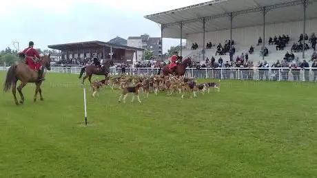 Photo de Hippodrome d'Alençon