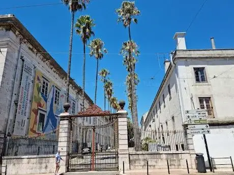 Photo de Museus da Universidade de Lisboa