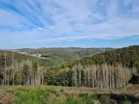 Photo de Traumpfad Wacholderweg
