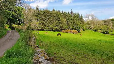Photo de Meadow Park Equestrian Centre
