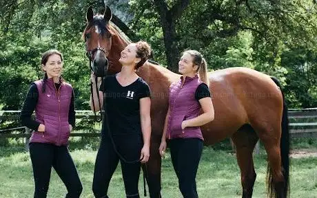 Photo de HOLZER HOF - Die Kraft der Pferde