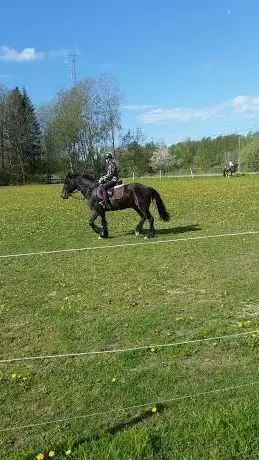 Photo de Nynäshamns Ridklubb