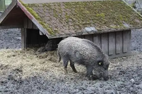 Photo de Ein / Ausgang Zoo