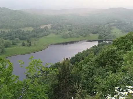 Photo de Tay Forest Park