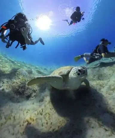 Photo de diving-marsaalam