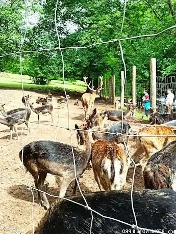 Photo de Wildpark Völklingen