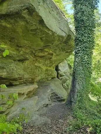 Photo de Bilstein