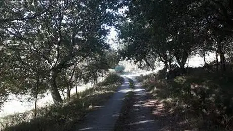 Photo de Ruta de sendeirismo As PradarÃ­as
