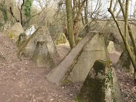 Photo de Höckerlinie (Panzersperren) Westwall